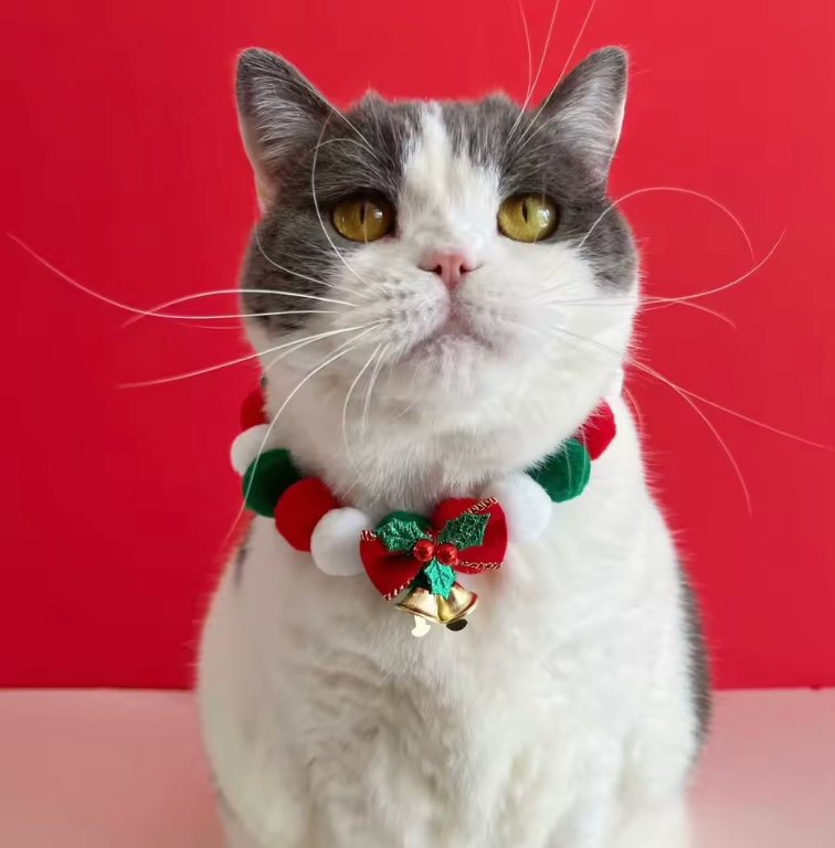 Weihnachtsglöckchen Halsband